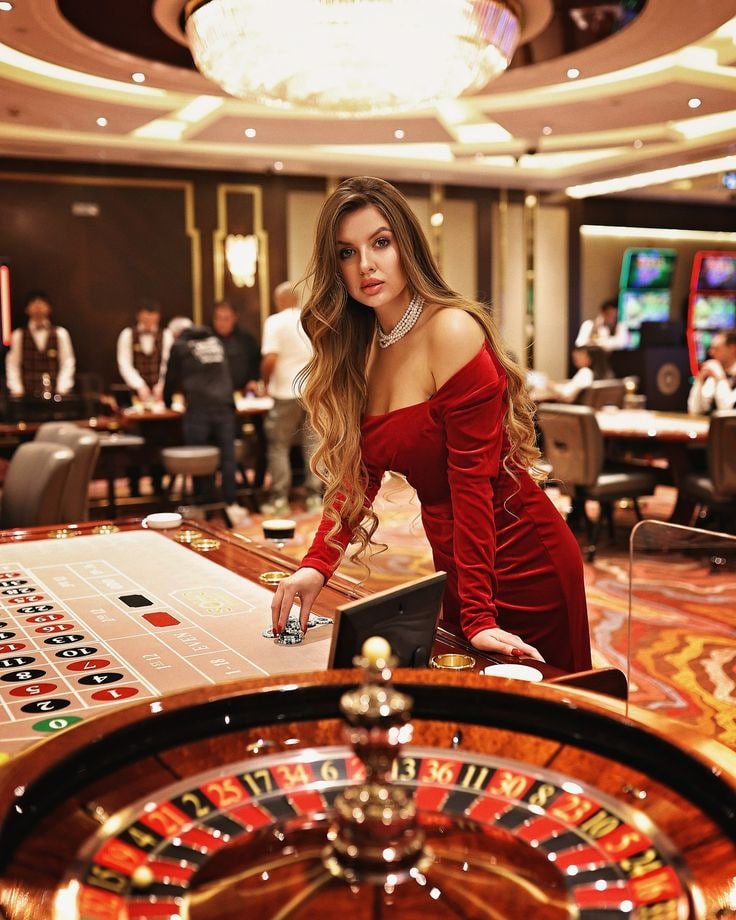 855bet