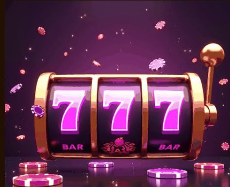 855bet